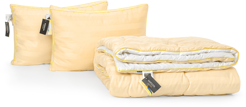 

Набор антиаллергенный MirSon 3M Thinsulatе Деми Carmela Hand Made №2992 одеяло 220х240 + 2 подушки 50x70 трехкамерные средние