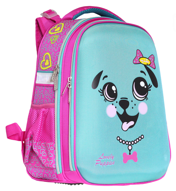 

Ранец Class Fancy Dog для девочек 39 х 28 х 21 см 19 л Розовый/Бирюзовый (9903/8591662990300)