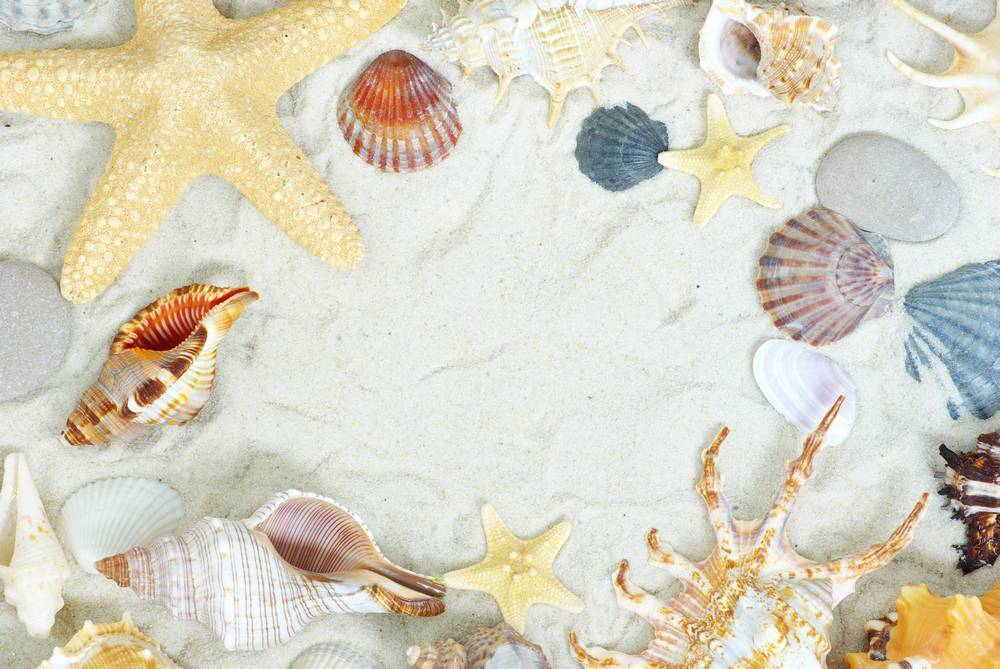 

Картина на холсте LaPrint Моря и пляжи 120х80 см