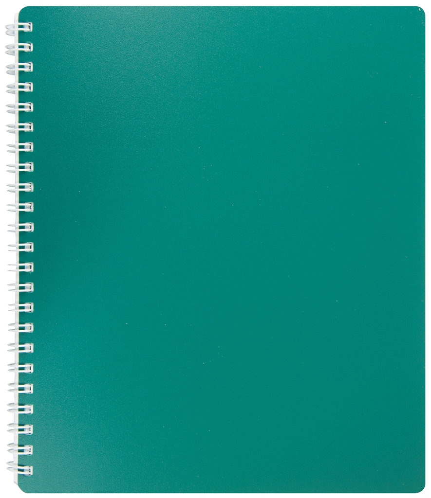 

Набор тетрадей 5 шт Buromax Classic B5 в клетку 80 листов Зеленый (BM.2419-004)