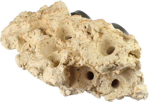 

Полка для кораллов на магнитном креплении TUNZE 24x10x14 см Coral Rack Long