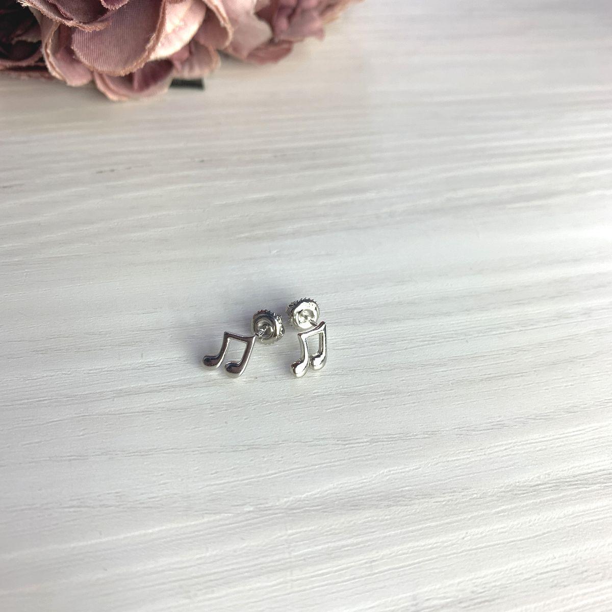 

Серебряные серьги SilverAlex без камней