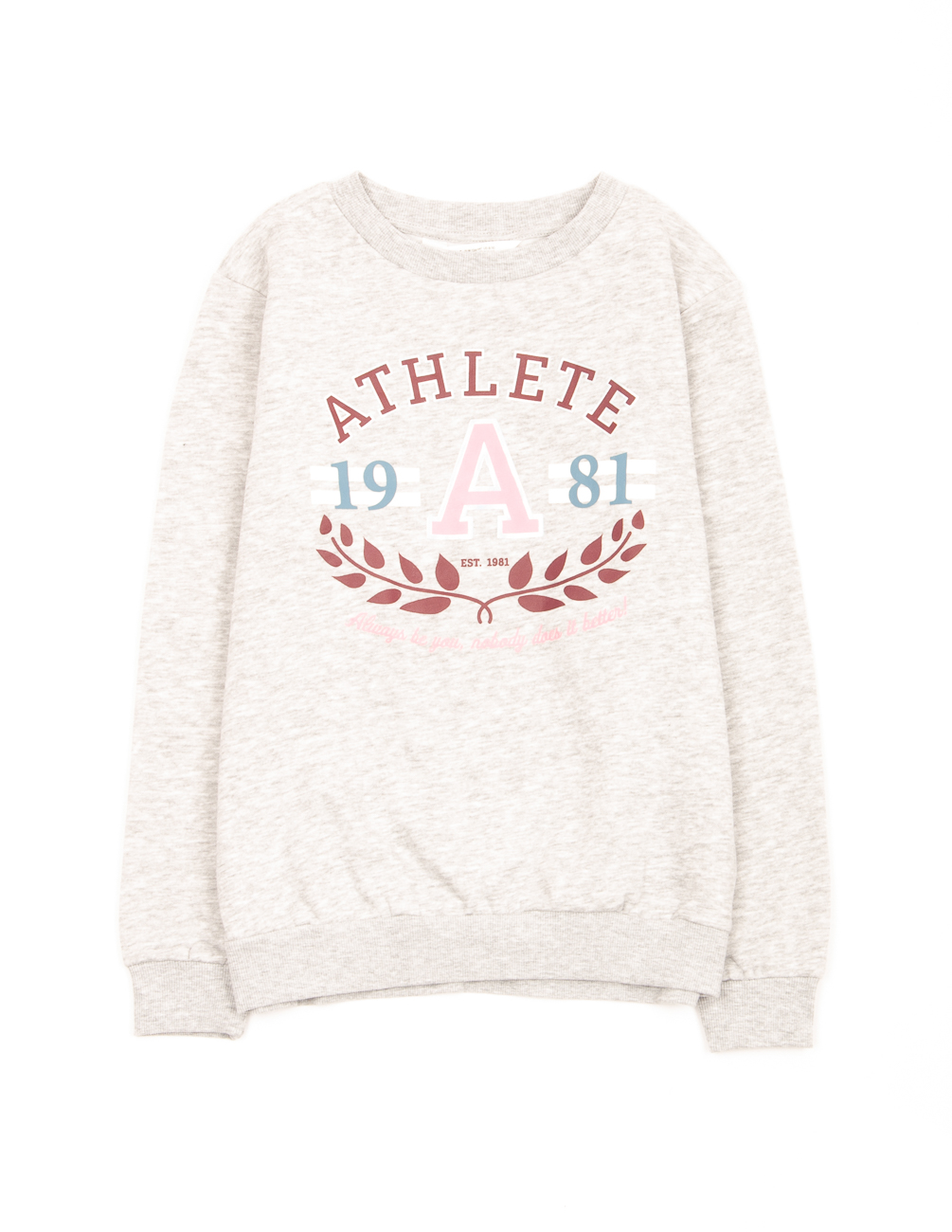 

Свитшот H&M ДД003473 (08705182) цвет серый 110/116