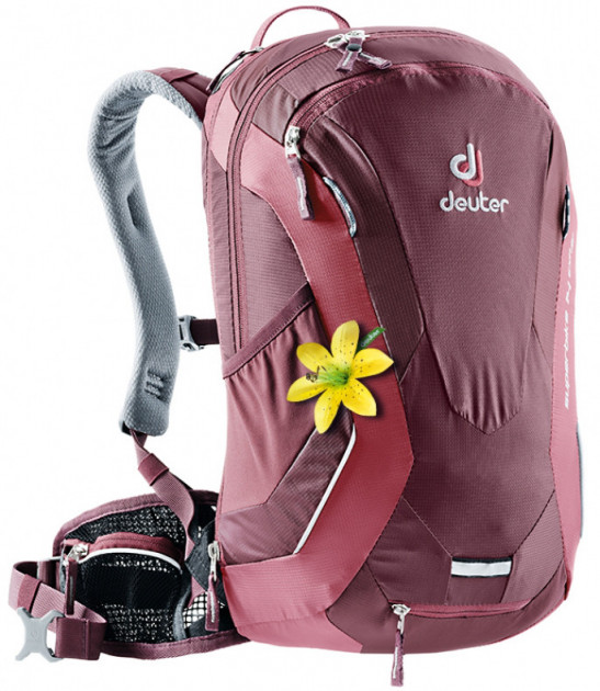

Рюкзак Deuter Superbike 14 EXP SL колір 5529 maron-cardinal (32104 5529)