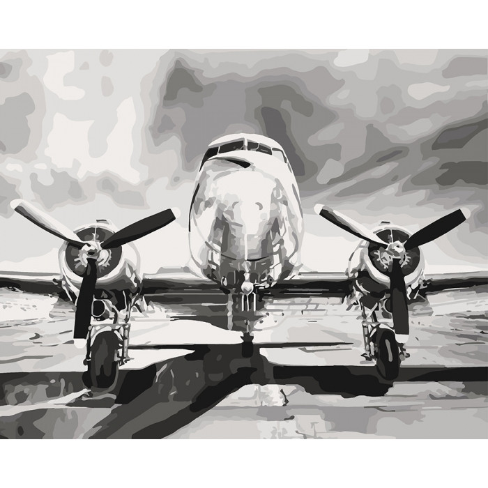 

Набір для розпису по номерах."Мрія про висоту" 40*50см