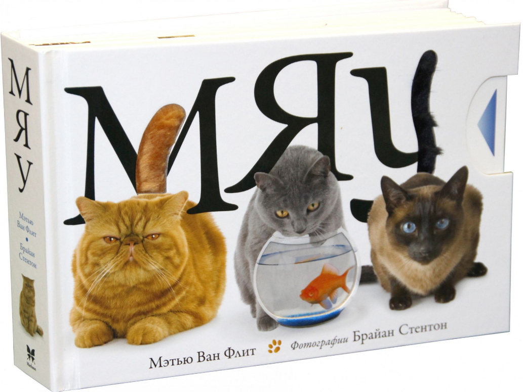 

Мяу. Мэтью Ван Флит