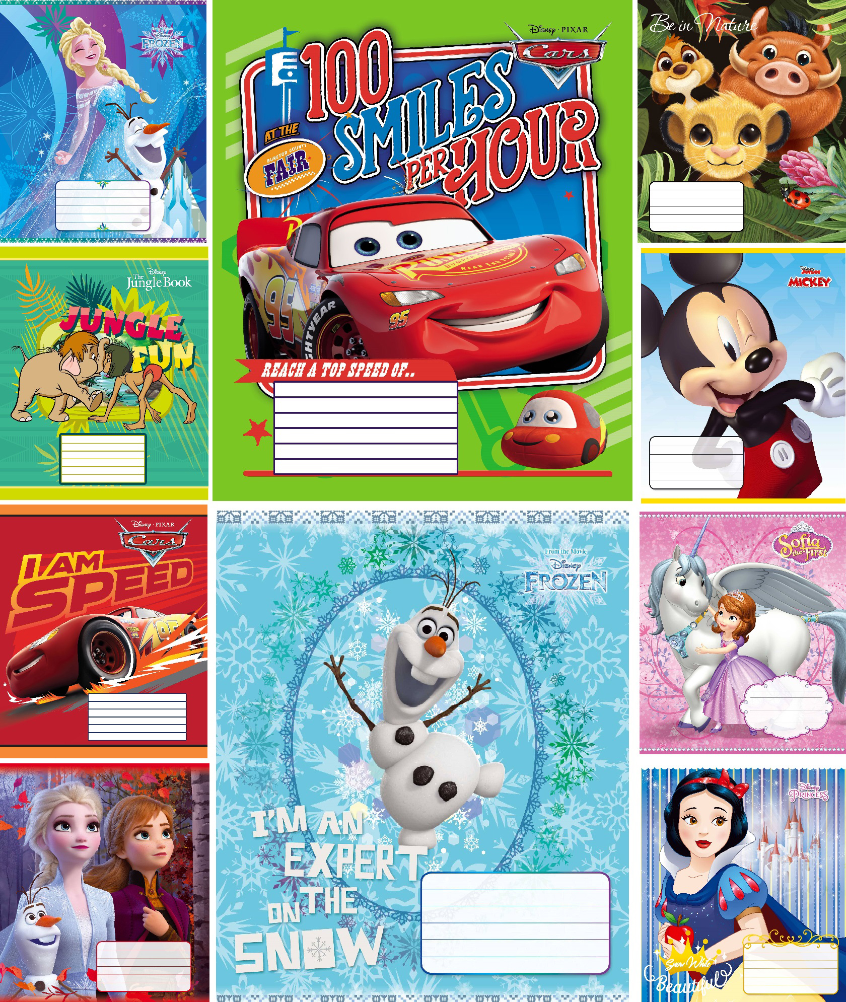 

Набор тетрадей ученических 25 шт Тетрада Disney Микс №1 в клетку 12 листов (10 дизайнов) (12396)