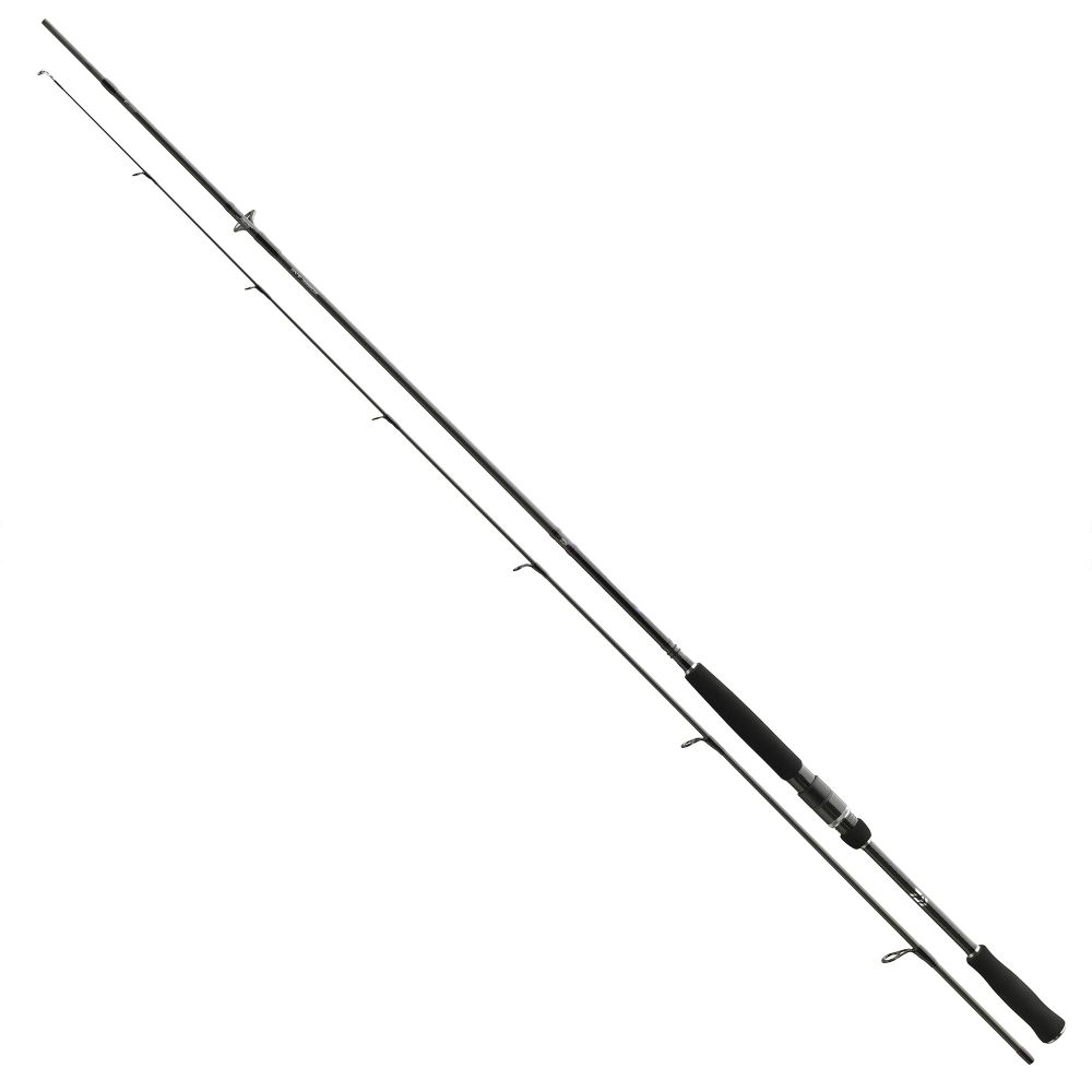 

Спиннинг Daiwa Prorex AGS 2.20m 5-25gr