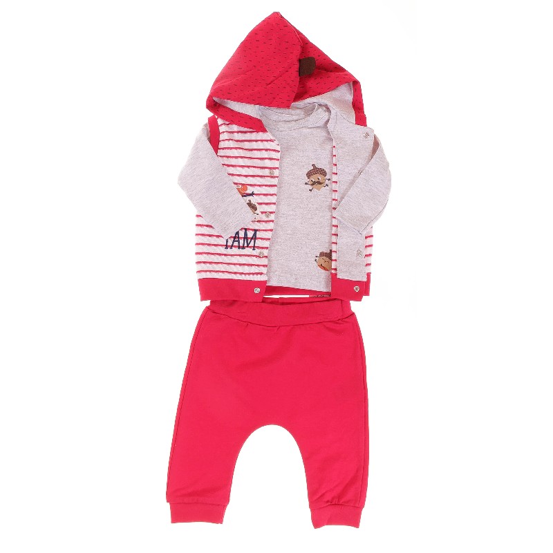 

Жилетка + Футболка с длинным рукавом + Брюки для мальчика TONGS 2824 74 см м-серый/красный