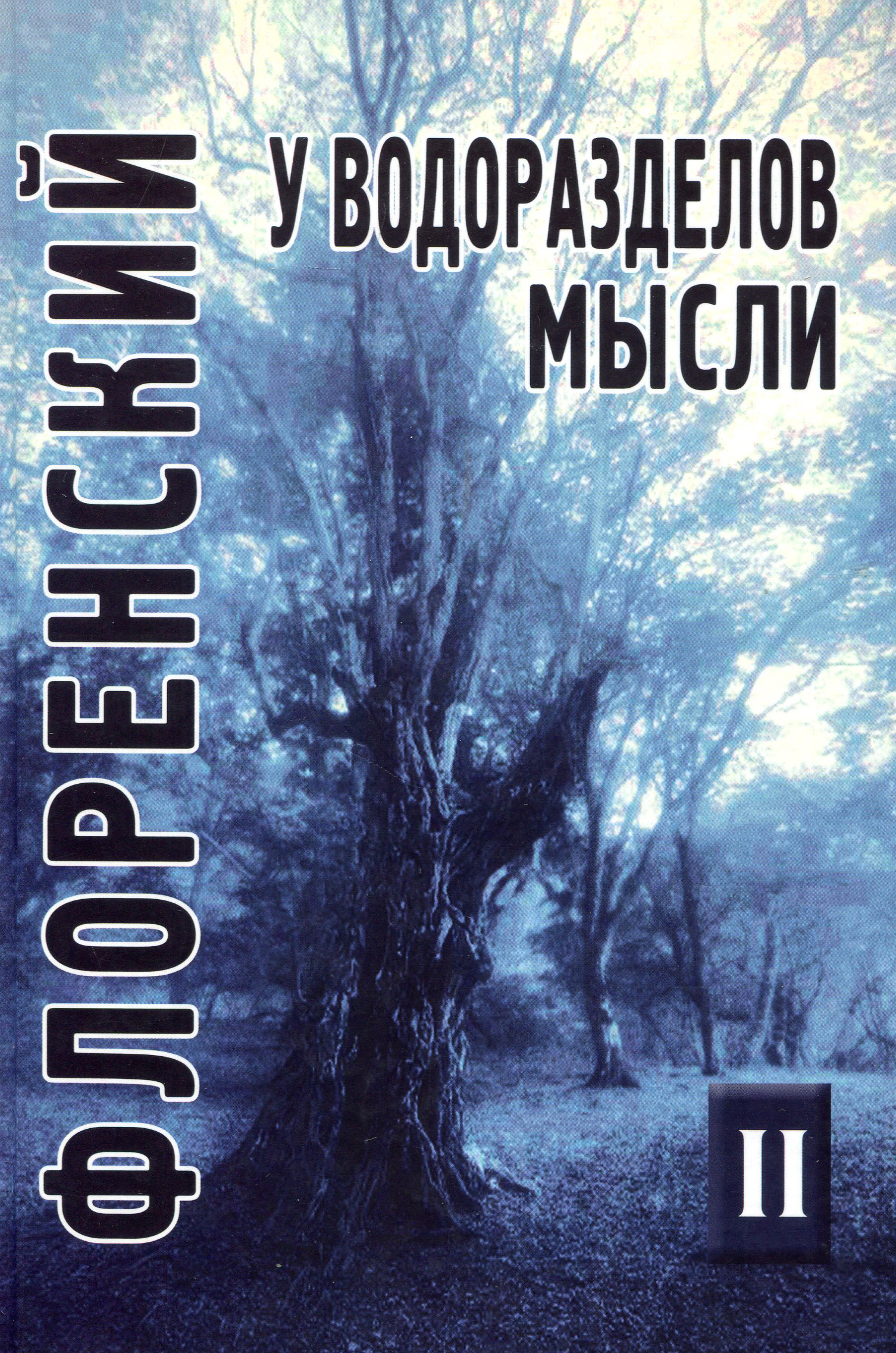 

У водоразделов мысли (Черты конкретной метафизики). Том 2 - Павел Флоренский (978-5-8291-2117-4)