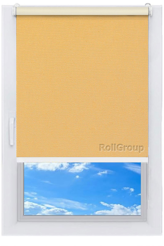 

Ролета тканевая Roll Group Берлин Blackout 110х165 см Бежевый