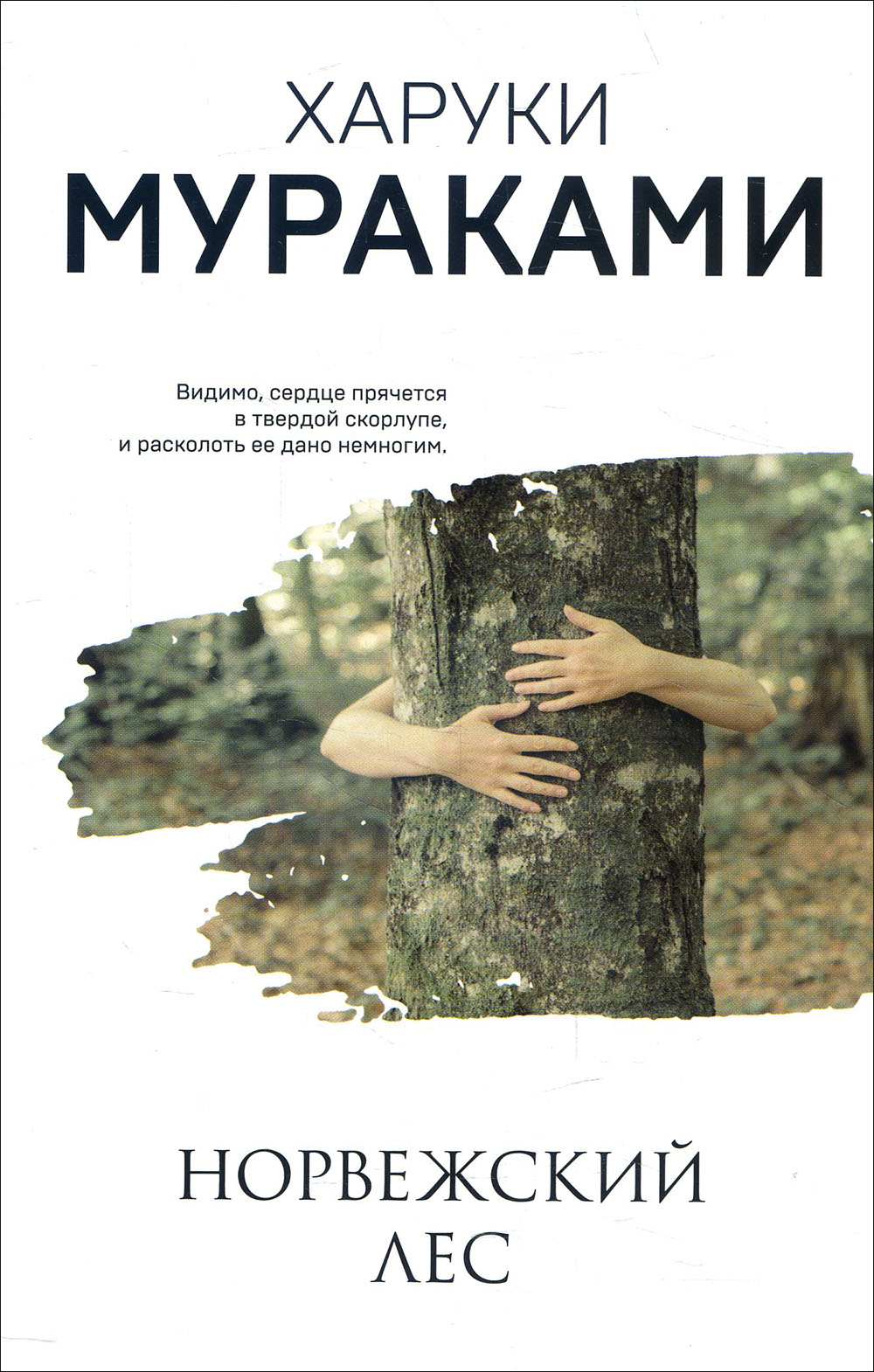 

Норвежский лес - Харуки Мураками (978-966-993-430-7)