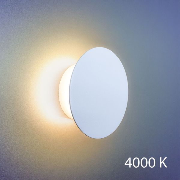

Настенный светильник бра ImperiumLight Mushroom 263112.01.92