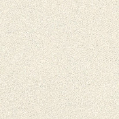

Виниловые обои на флизелиновой основе 0.70*10.05 Marburg Patio 79507