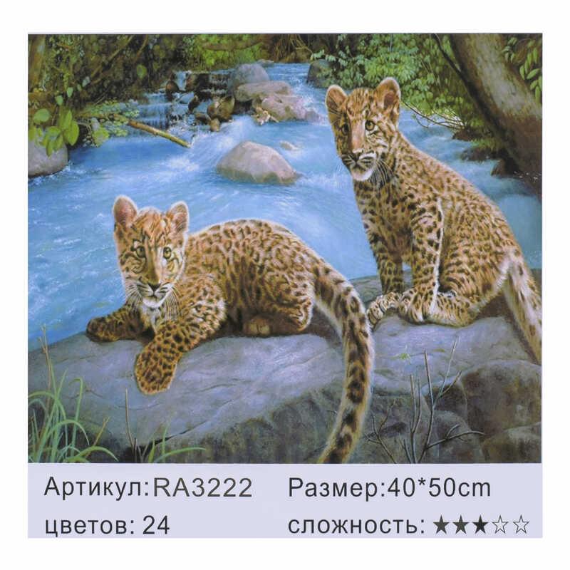 

Картина по номерам RA 3222 "Малювання по номеру" 40х50см