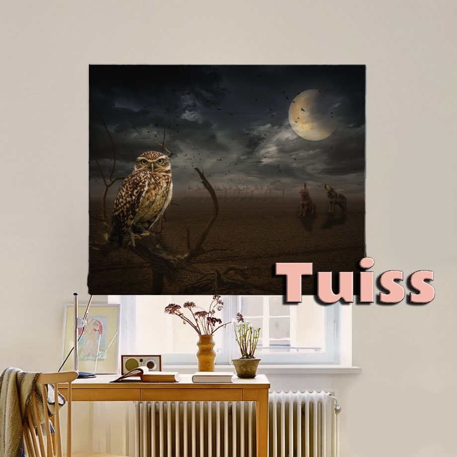 

Римская штора система Classic InHt Фотопечать Арт 17-016 Блэкаут 70х170 см