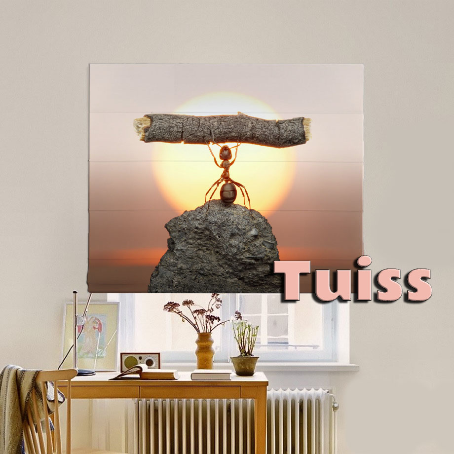 

Римская штора система Classic InHt Фотопечать Арт 17-064 Джуси Велюр 210х170 см