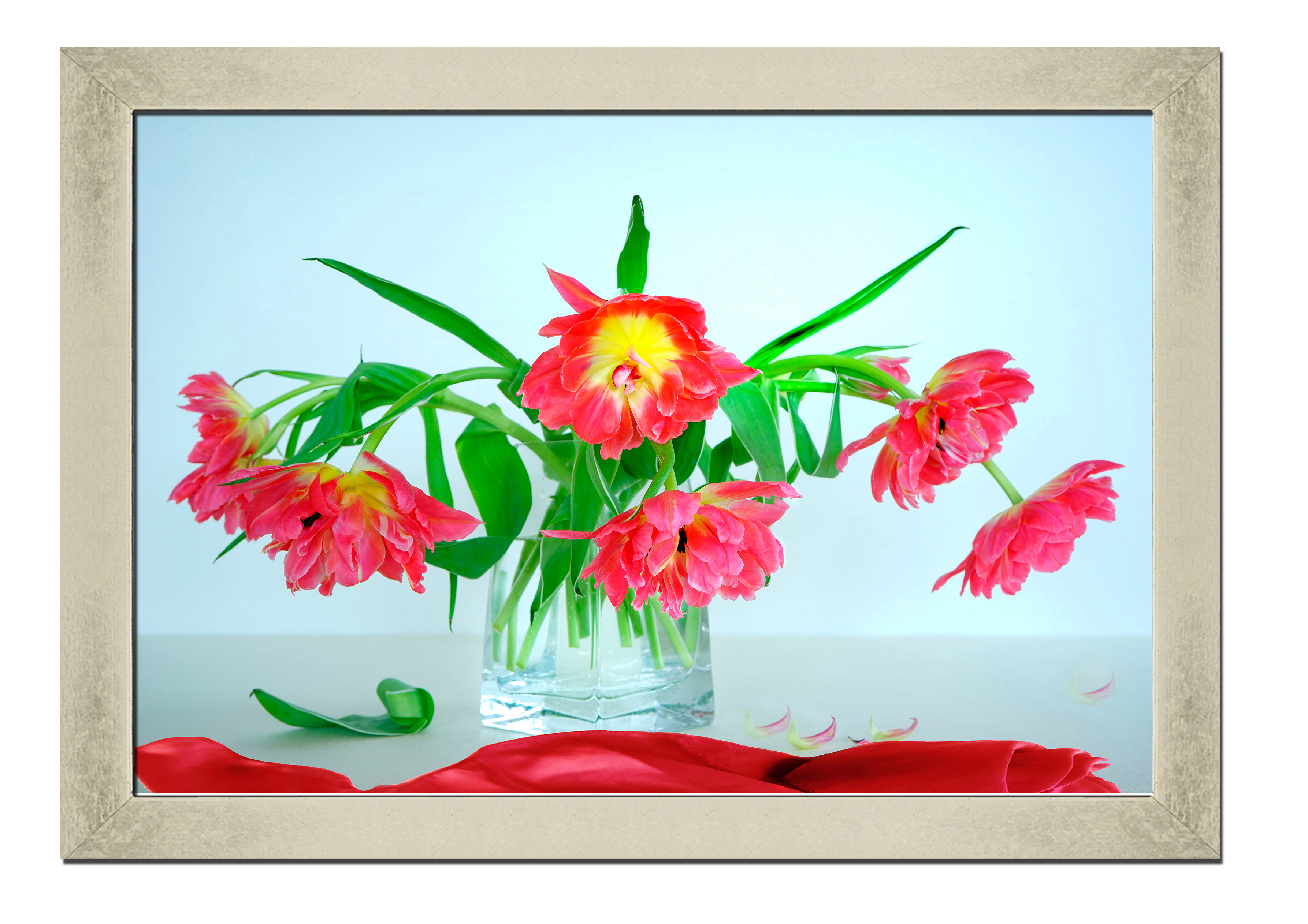

Silver frame картина на файн-арт бумаге Натюрморт любовь цветы роматника свиданье Hotel Arizona HD 31 см x 41 см