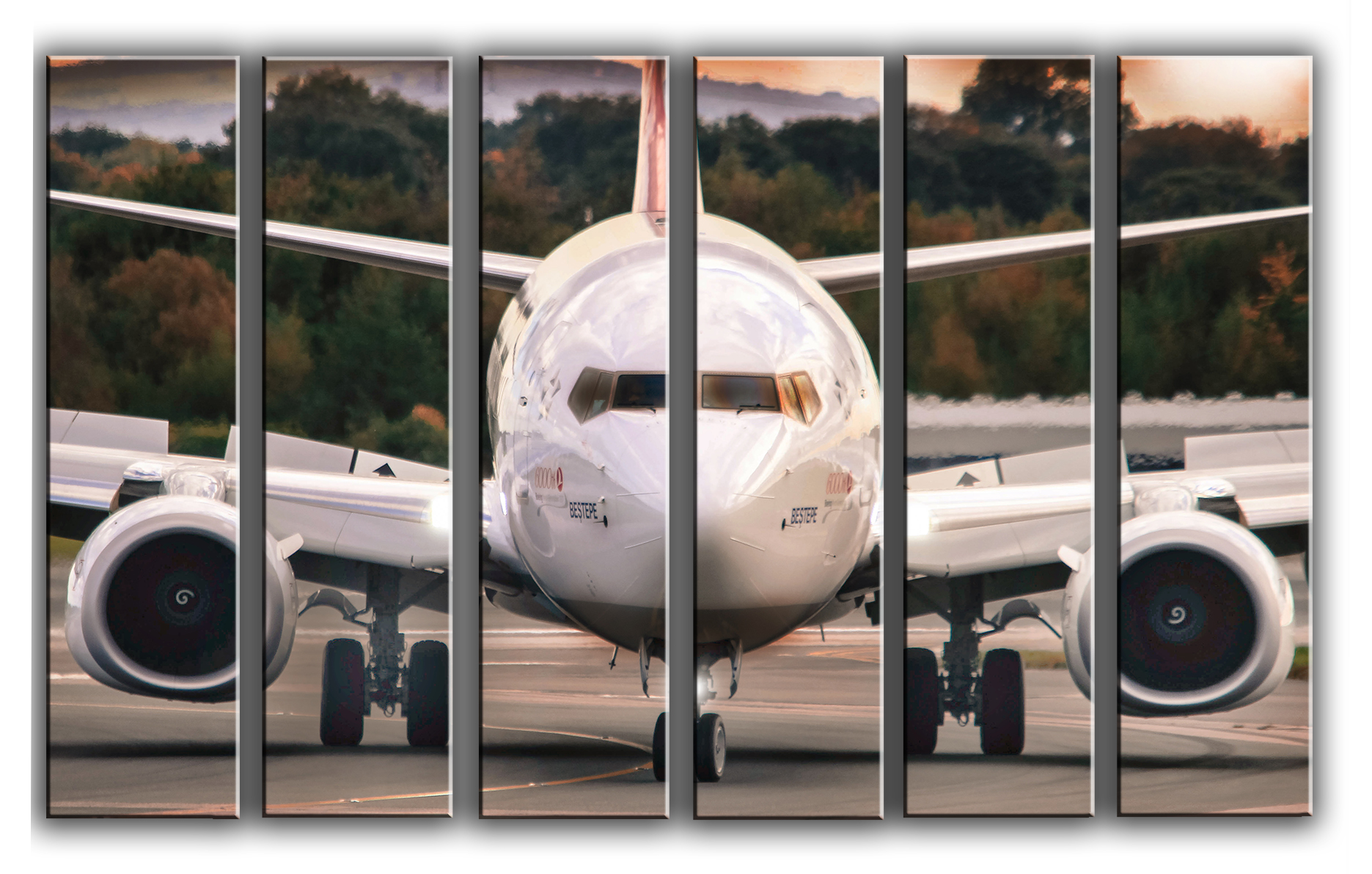 

Модульная картина на холсте из 6 частей самолет Boeing 737 авиация Hotel Arizona HD 112 см x 171 см