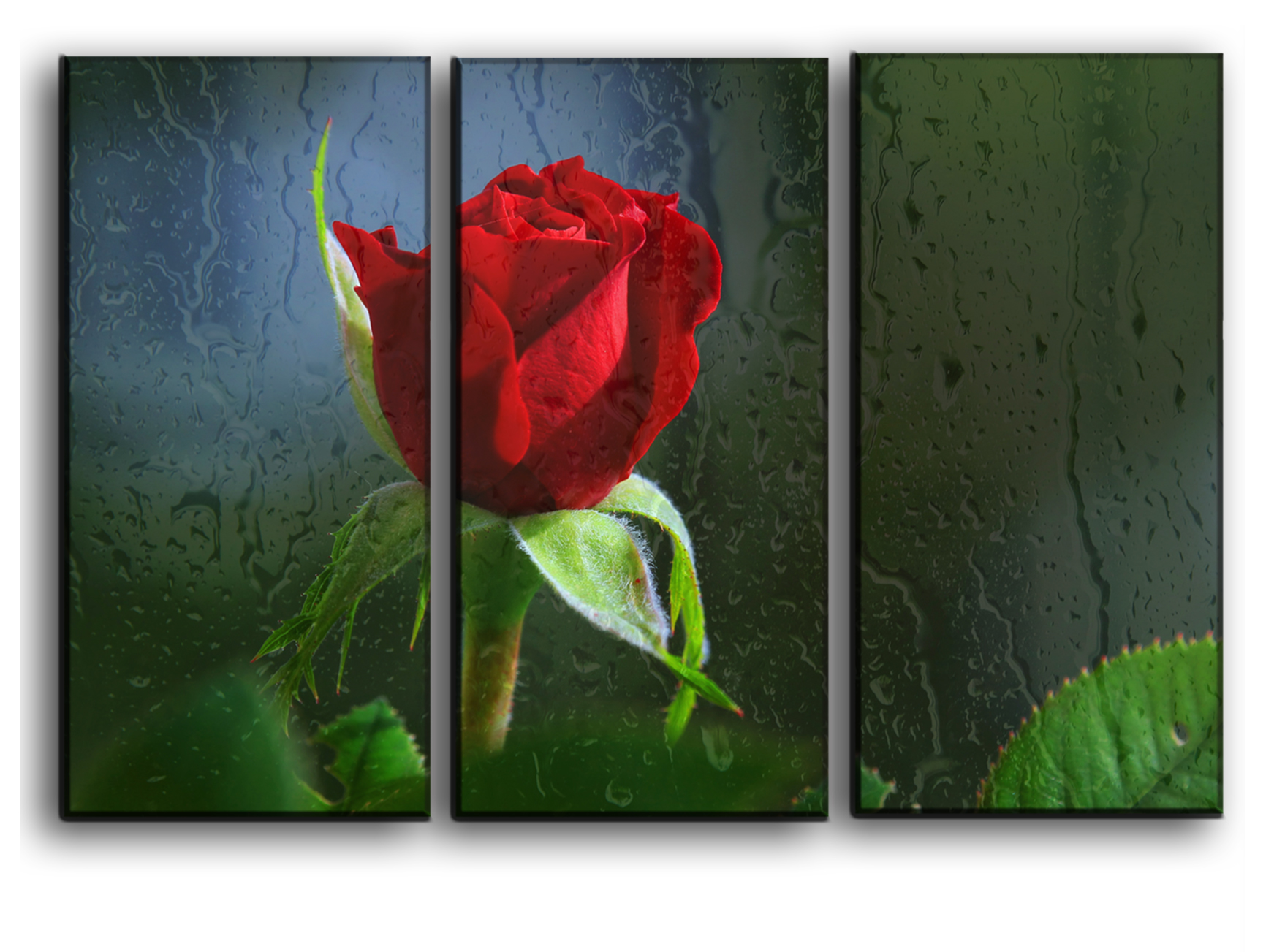 

Модульная картина на холсте из 3 частей Красная роза и капли дождя любовь цветы роматника свиданье Hotel Arizona HD 56 см x 84 см