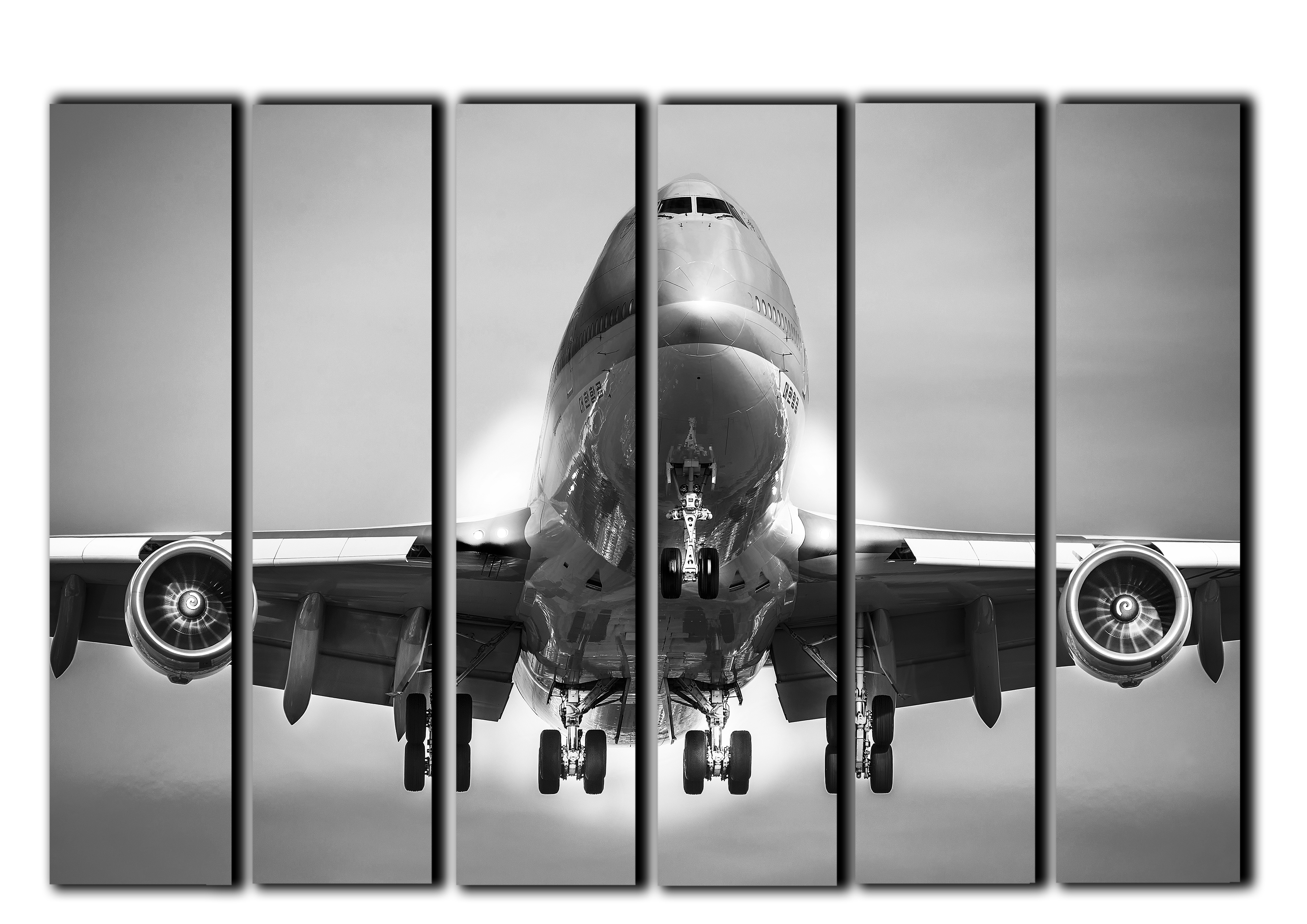 

Модульная картина на холсте из 6 частей Boeing 747 Боинг на взлете Hotel Arizona HD 112 см x 171 см