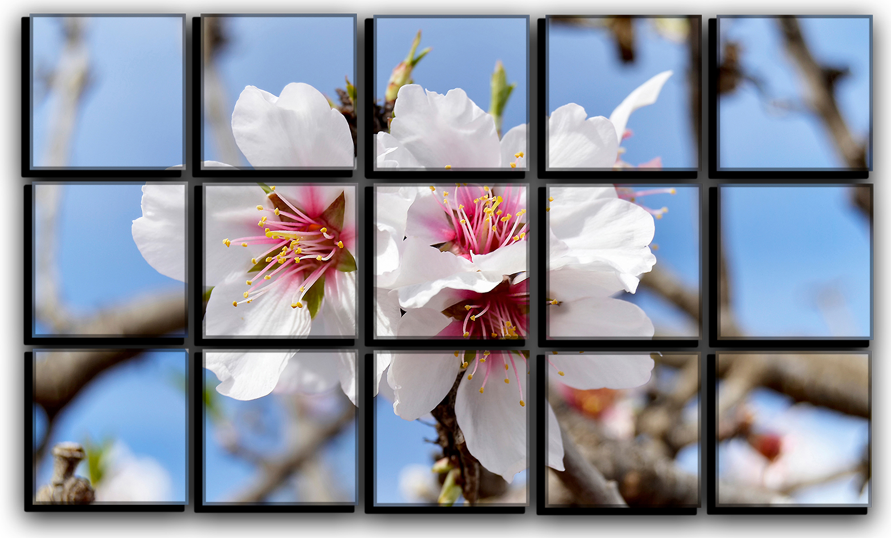 

Модульная картина на холсте из 15 частей Весенние цветы любовь цветы роматника свиданье Hotel Arizona HD 77 см x 127 см