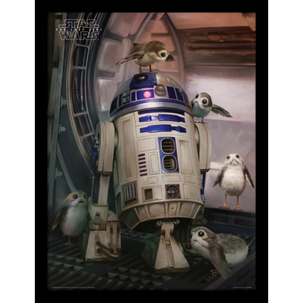 

Постер в раме Star Wars The Last Jedi (R2-D2 & Porgs) / Звёздные войны - wws-6080 Pyramid International