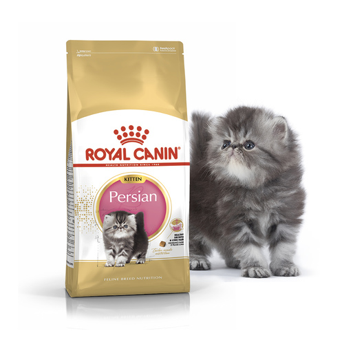 

Сухой корм для кошек породы персидская Royal Canin KITTEN PERSIAN для котят до 12 мес. (2 кг)