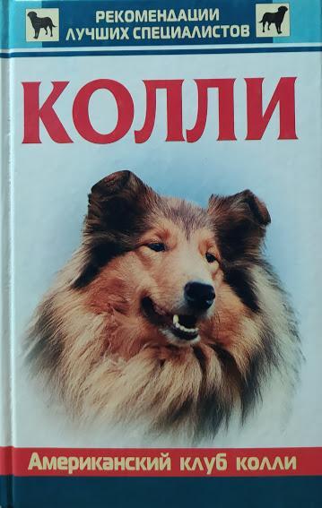 

Колли. Американский клуб колли.