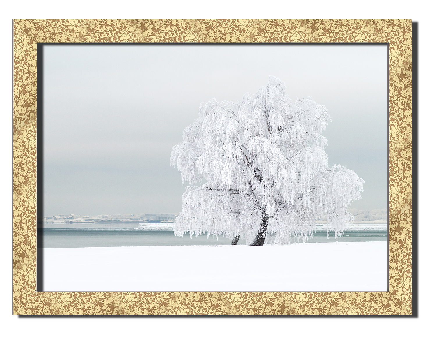 

Golden frame картина на файн-арт бумаге Зимний пейзаж дерево в снегу Hotel Arizona HD 31 см x 41 см