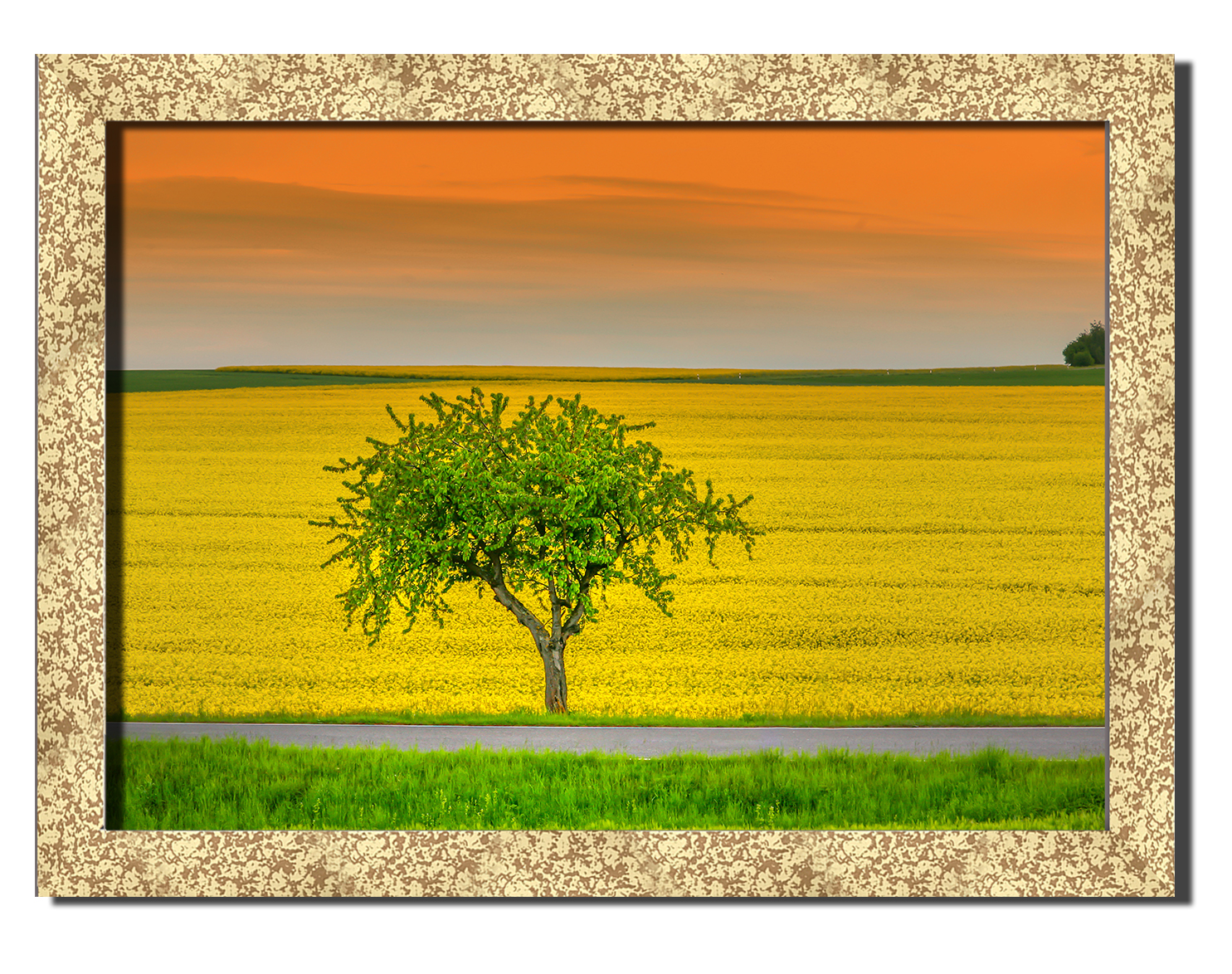 

Golden frame картина на файн-арт бумаге Дерево в чудесной природе природа, лес, буш Hotel Arizona HD 31 см x 41 см