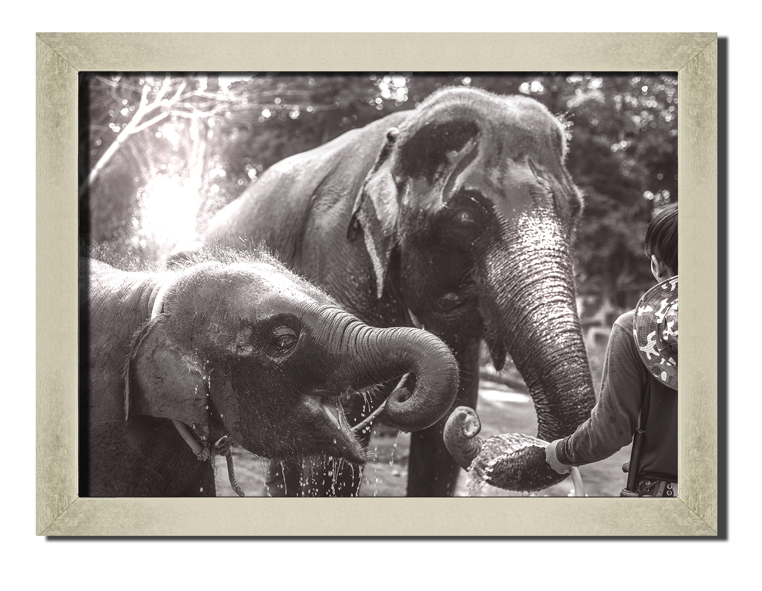 

Silver frame картина на файн-арт бумаге слоны и погонщик восточная природа Hotel Arizona HD 31 см x 41 см