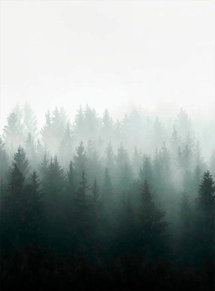 

Фотообои флизелиновые De-Cors лес 200х270 см 2 сегмента (201005Ф)