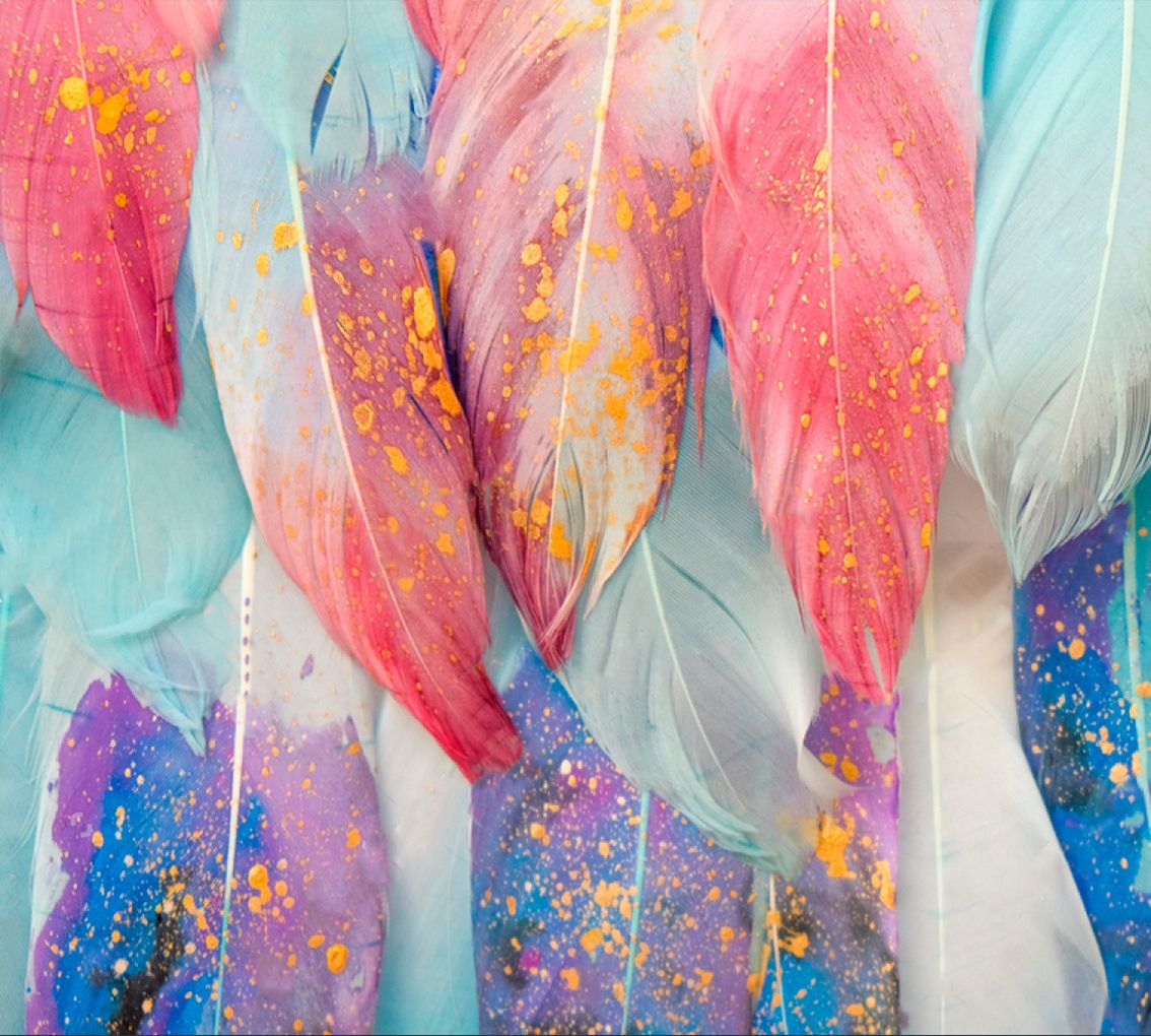 

Фотообои флизелиновые De-Cors перья абстракция 300х270 см 3 сегмента (201293Ф)