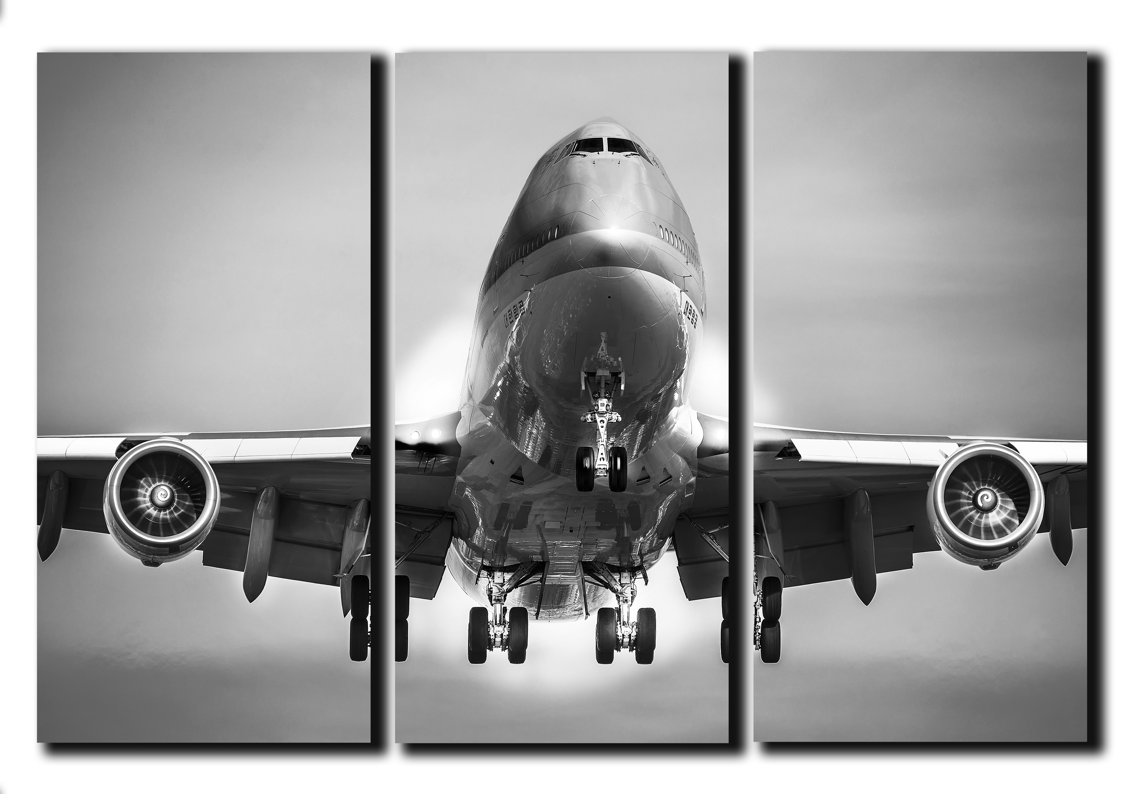 

Модульная картина на холсте из 3 частей Boeing 747 Боинг на взлете Hotel Arizona HD 56 см x 84 см