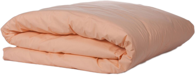 

Пододеяльник SoundSleep 169 Peach Ранфорс персиковый 200х220