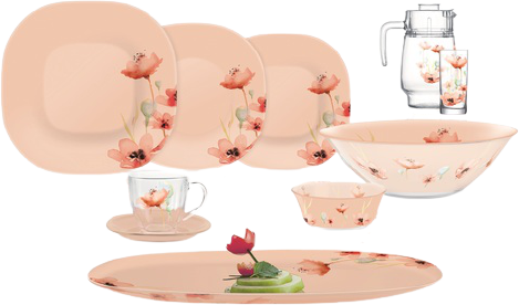 

Сервиз столовый Luminarc Neo Carine Flor Peach 46 предметов