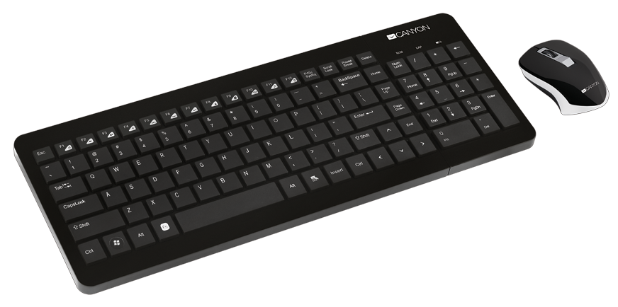 

Комплект беспроводной Canyon CNS-HSETW3-RU