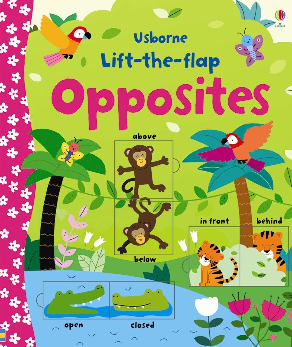 

Lift-the-Flap: Opposites-Фелісіті Брукс-(9781409582588)