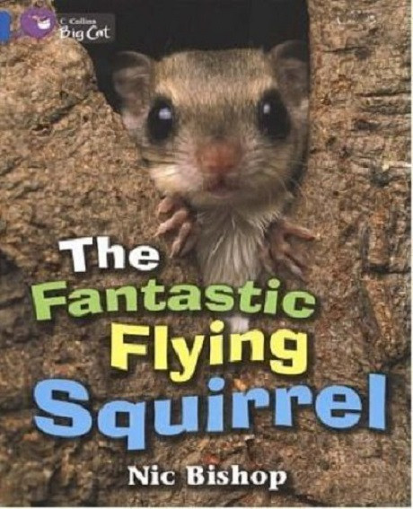 

Big Cat 4 The Fantastic Flying Squirrel-Нік Бішоп-(9780007185832)