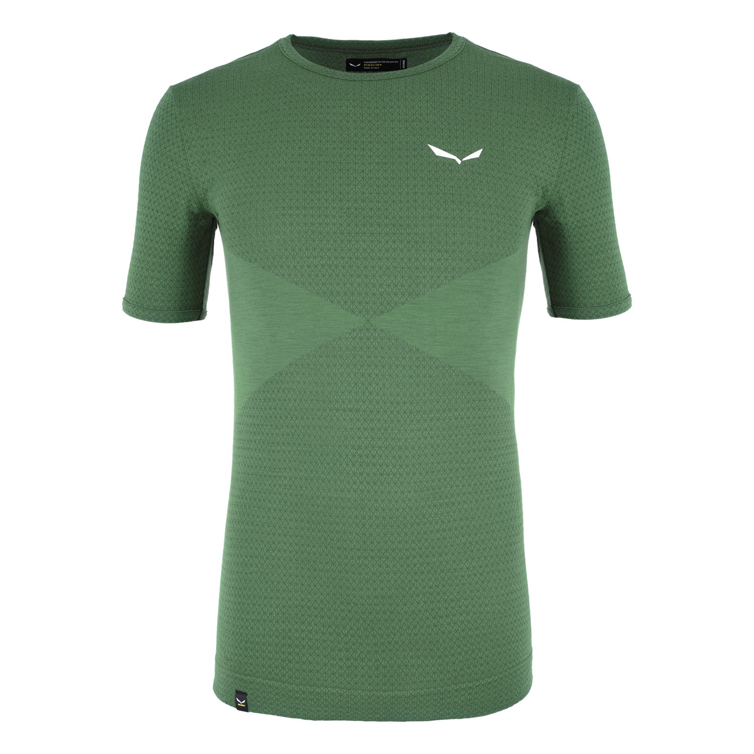 

Термофутболка Salewa Zebru Responsive S/S Tee Mns чоловіча  зелена, Термофутболка Salewa Zebru Responsive S/S Tee Mns чоловіча M зелена