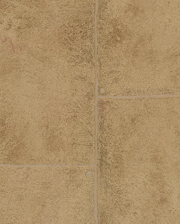 

Флизелиновые обои Marburg Германия коричневый 0.53 x 10.05 м арт. 977106