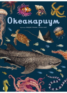 

Океанариум. 95869