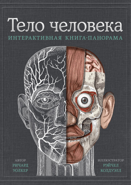 

Тело человека. Интерактивная книга-панорама (18352819)