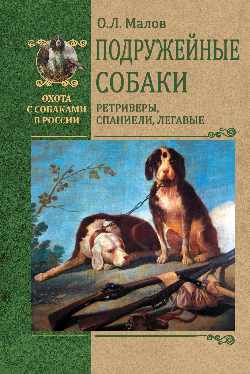 

Подружейные собаки. Ретриверы, спаниели, легавые (18352858)