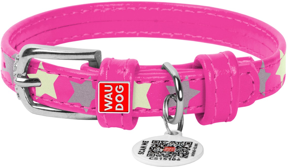 

Ошейник для собак кожаный Collar WAUDOG Glamour с QR паспортом, узор "Звёздочка", светящийся/светоотражающий, XS, Ш 15 мм, Дл 27-36 см