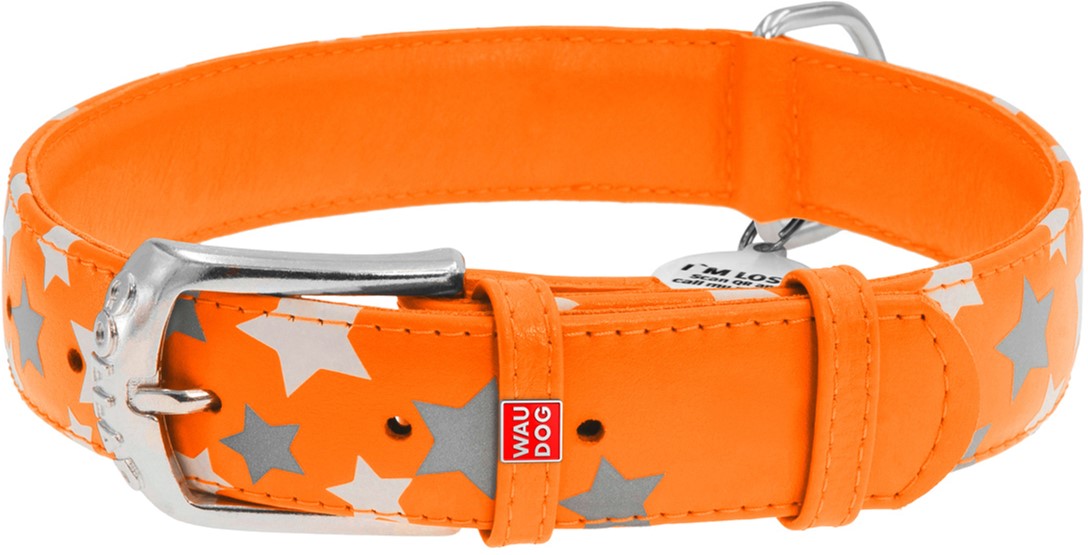 

Ошейник для собак кожаный Collar WAUDOG Glamour с QR паспортом, узор "Звёздочка", светящийся/светоотражающий, M, Ш 25 мм, Дл 38-49 см