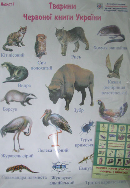 

Рослини і тварини Червоної книги України. Комплект плакатів + метод. реком