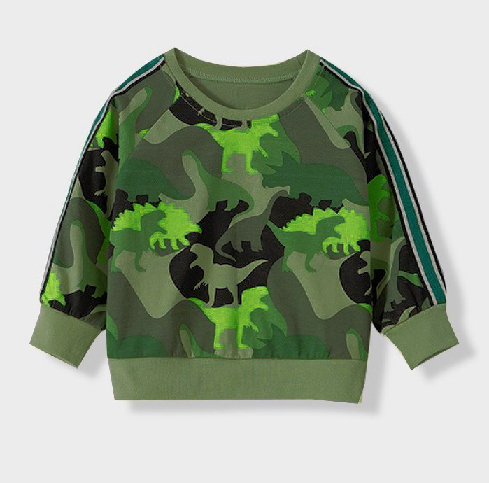 

Свитшот для мальчика с изображением динозавров зеленый Green camouflage Berni Kids (130) Зеленый (57240)