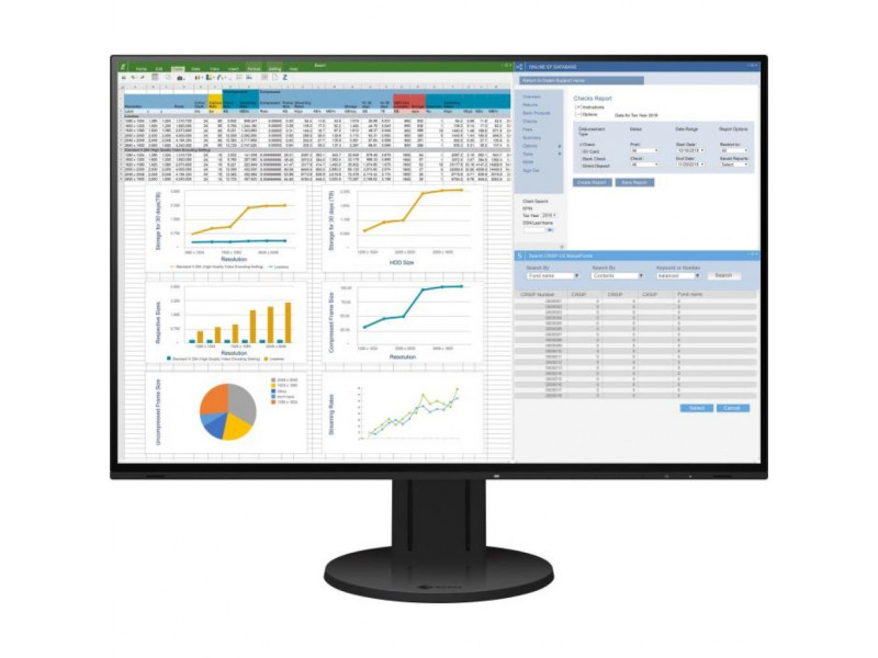 

Монитор Eizo EV2457-BK